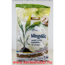 Vasgálic 1/1 